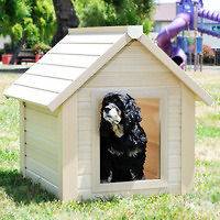 XLARGE DOGHOUSE~BUNKH​OUSE STYLE PET HOUSE~ECO FRIENDLY DOG HOUSE w 