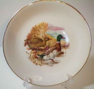   HANLEY ENGLAND ROYAL FALCON WARE LUNCH PLATE WILD GAME 