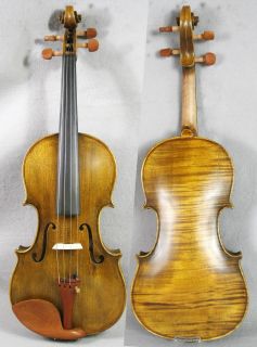 amati violin in Violin