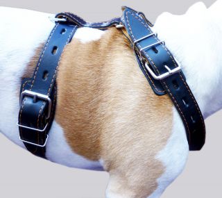  Dog Harness Great Dane 35  41 chest Great Dane Cane Corso Mastiff