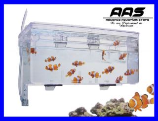 Japan SUDO Aquarium Air Pump Drive 2.0L Breeding Tank