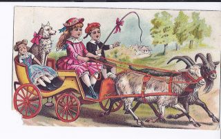 VICTORIAN TRADING CARD FOR DOMESTIC SEWING MACHINE CHILDREN IN GOAT 