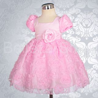 Infant Baby Embossed Flower Girl Dress Wedding Pageant Party Size 3M 