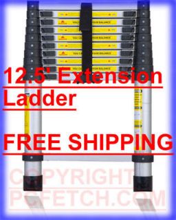 extension ladders in Ladders, Scaffold, Platforms