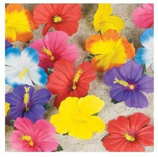   , Cards & Party Supply  Party Supplies  Luau & Beach Parties