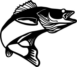 Walleye Pickerel Fish Decal 3.75x4.25 choose color vinyl sticker