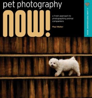 Pet Photography Now A Fresh Approach to Photographing Animal 