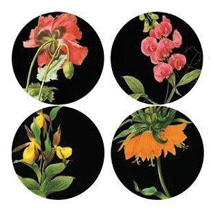 New Thomaspaul Florilegium Dinner Plates   Set of 4   