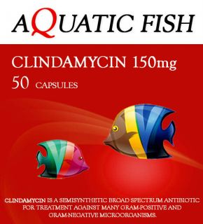 AQUATIC FISH ANTIBIOTIC CLINDAMYCIN 150 mg 50 COUNT