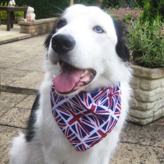 Union Jack British Olympics Puppy Dog Bandana/Collar 100% Cotton&Made 