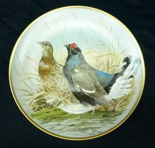 Black Grouse 1979 Gamebirds Of The World Plate Franklin Porcelain 