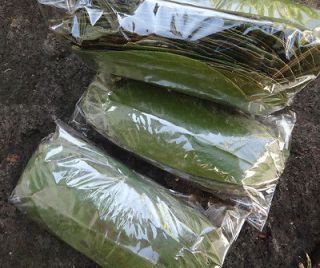 ONE MONTH SUPPLY Guyabano / Soursop / Graviola DRIED LEAVES (GOOD 