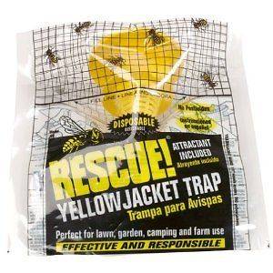 yellow jacket trap in Insect & Grub Control