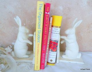 Cast Iron Standing Rabbit Bookends ~ Bunny bookend Set ~ Standing Hare