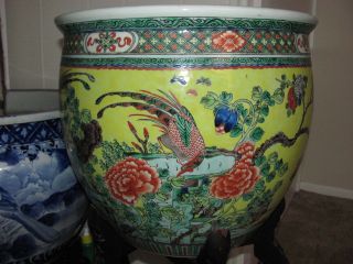Antique 19thC Chinese Qing Dynasty Porcelain Famille Jaune fish bowl 