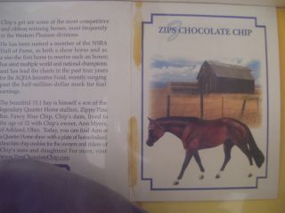NIB Breyer Horse Zips Chocolate Chip LE 2003