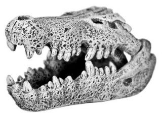 Mini 2 Croodiler Skull 856 ~ aquarium ornament fish tank decoration