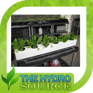 Site Ebb and Flow Hydroponic System Kit N Flo Drip recirculating 