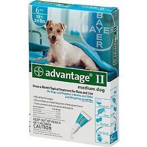 Advantage® II medium Dog 6 Month Flea Control 11 20lbs