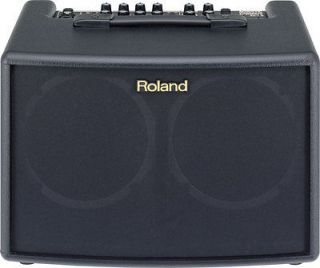Roland AC60 Acoustic Chorus Guitar Amplifier
