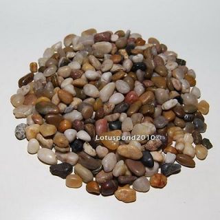   Multi Color Polished River Rock Pebble Stone 0.5  0.75 Garden Decor
