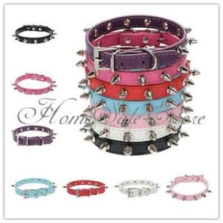 studded dog collar in Spiked & Studded Collars