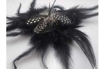 feather Fascinator Hair Flowers brooch hair clip pin include BLACK
