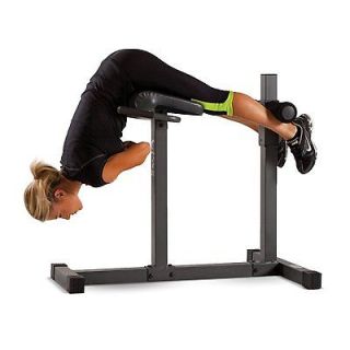 Back Abs Abdominal Legs Workout Exercise Strength Bench Station 