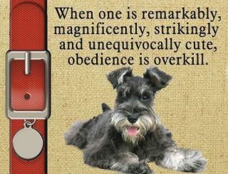 MINIATURE SCHNAUZER Dog Magnet Obedience Is Overkill PERSONALIZED ON 