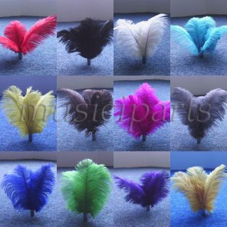   Ostrich Feathers For Wedding Decorations Color/quantity Selection