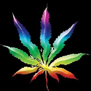 Rainbow Pot Leaf Tee Shirt Marijuana Weed 420 T shirt