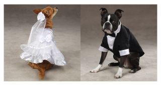 Bride and Groom Costumes for Dogs   Halloween Dog Costume