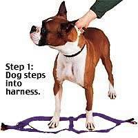 step in dog harness in Harnesses