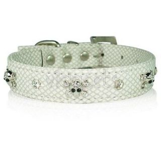 white leather dog collar in Leather Collars