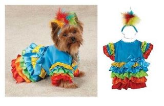 Polly Parrot Costume for Dogs   Fiesta Halloween Dog Costumes   FREE 