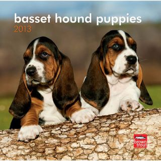 Basset Hound Puppies 2013 Mini Wall Calendar