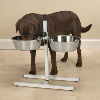   Elevated Raised Dog Diners Stainless Steel Double Bowl Adjustable Dish