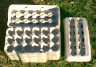 egg cartons in Poultry