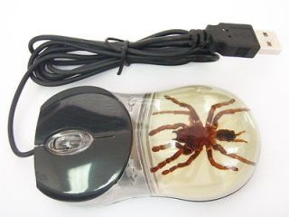 Optical Computer Mouse   Tarantula Spider Specimen (Black Case   Clear 