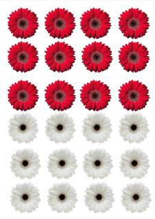  WHITE GERBERA FLOWERS EDIBLE CUP CAKE TOPPERS WAFER RICE PAPER GM13