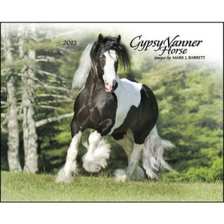 Gypsy Vanner Horse 2013 Wall Calendar