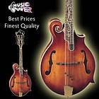   Kelly Dragonfly Flame Electric Mandolin Antique Violin   Sweet Tone