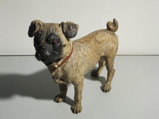 Detailed High Quality Vienna Cold Painted Bronze Pug Dog