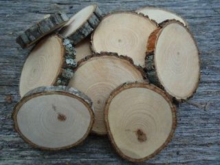 50 2 hickory tree log disc wood slices, branch, button, blank, rustic 