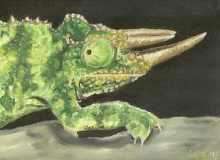 Original Reptile Amphibian Exotic Oil Painting Canvas lizard chameleon 