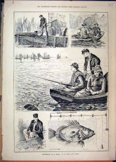 Sea fishing 1886 John Dory Boat Net Chadding Pier Print