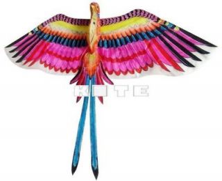 3D BIRD OF PARADISE KITE FLYING TOY ART CRAFTS ROOM WALL HOME 