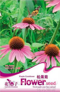   + Flowers Seeds Meringue Coneflower Echinacea Seeds Home Garden Plant