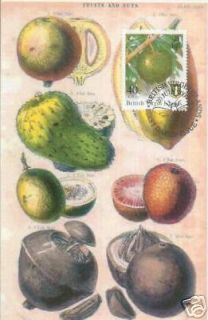 FRUIT SOURSOP VIRGIN ISLANDS MAXIMUM CARD
