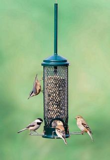 Home & Garden  Yard, Garden & Outdoor Living  Bird & Wildlife 